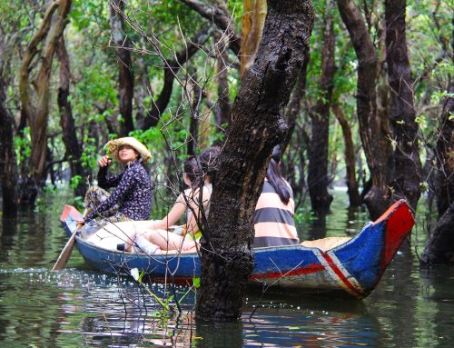 Natural Disasters and Household Welfare: Evidence from Vietnam