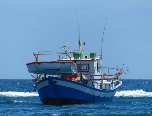 Production Inefficiency Of Vietnam’s Fisheries Processing Firms