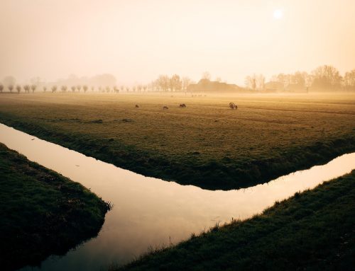 Rural piped water connection project: Baseline survey – Monitoring surveys